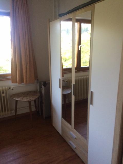 Schlesierhaus Apartman Dachsberg im Schwarzwald Kültér fotó