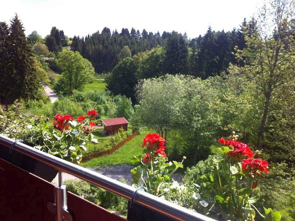 Schlesierhaus Apartman Dachsberg im Schwarzwald Kültér fotó