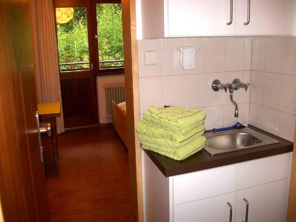 Schlesierhaus Apartman Dachsberg im Schwarzwald Kültér fotó