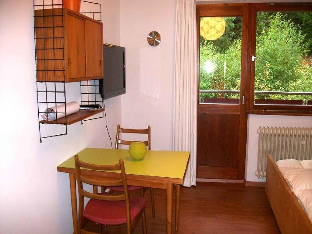 Schlesierhaus Apartman Dachsberg im Schwarzwald Kültér fotó